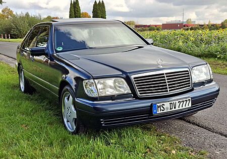 Mercedes-Benz S 320 AMG Prinz Gasanlage