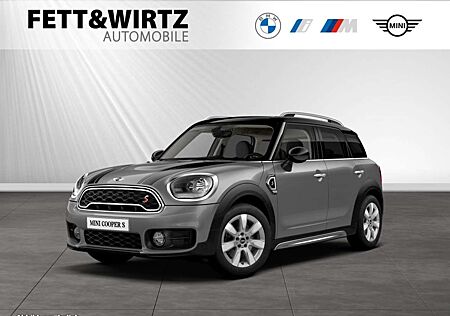 Mini Cooper S Countryman Navi|H/K|Kamera|Sportsitz