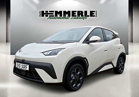 BYD DOLPHIN SURF Boost*Kamera* BLACK FRIDAY - PREIS