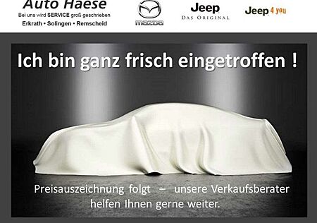 Jeep Wrangler Unlimited 2.0 272PS Sahara Sky-One Navi