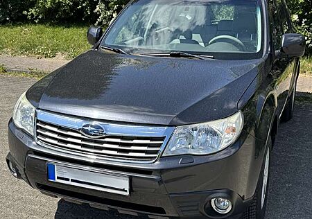 Subaru Forester 2.0X Automatik Comfort