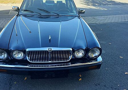 Jaguar XJ V12 Automatik
