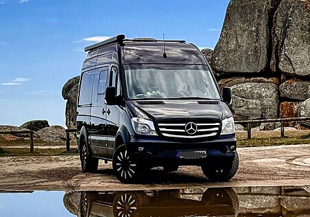 Mercedes-Benz Sprinter 316 CDI (BlueTec) 906.731