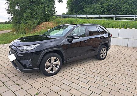 Toyota RAV 4 2.5 4x2 Hybrid Team Deutschland