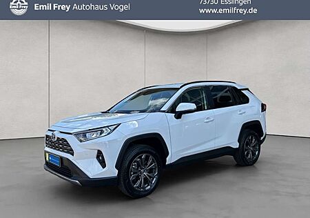 Toyota RAV 4 2.5 4x2 Hybrid Team D