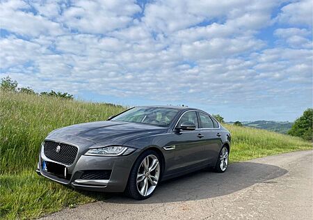 Jaguar XF 30d Aut. Portfolio