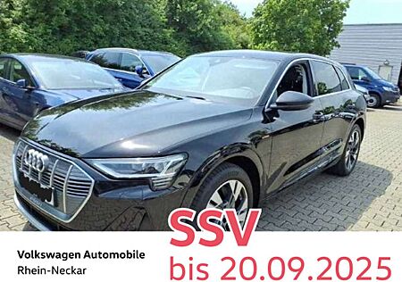 Audi e-tron 50 S-Line quattro Kamera Presense Li