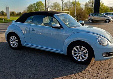 VW New Beetle Volkswagen Blue Motion - Technologie, umweltfreundlich