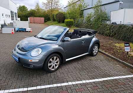 VW New Beetle Volkswagen Cabriolet 1.6,Klima,SHZ,Neues Dach !!