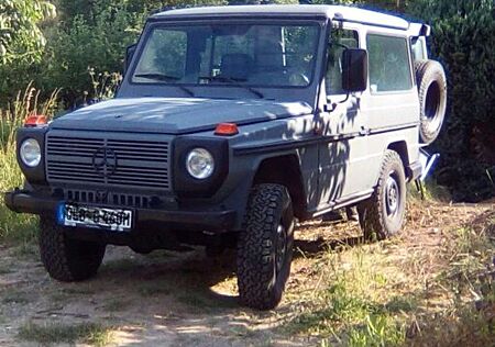 Mercedes-Benz G 290 GELAENDEF.GES-GFG(A)