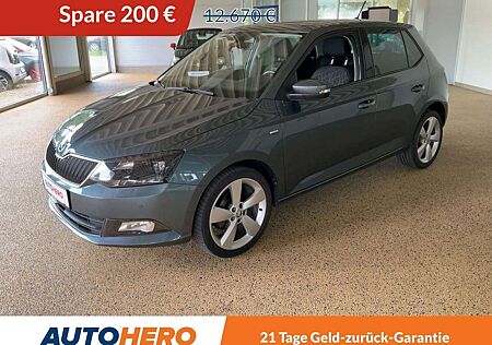 Skoda Fabia 1.0 TSI Clever*NAVI*ACC*PDC*SHZ*KLIMA*