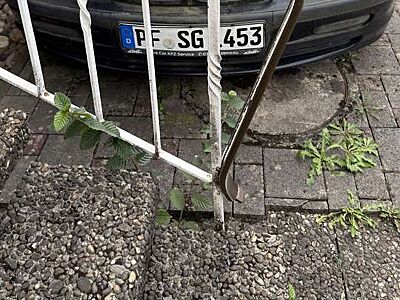 BMW 328 328i | 6-Zylinder | Handschalter | Harman Kardon