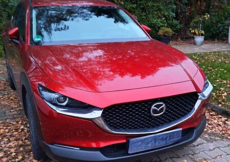 Mazda CX-30 +e-SKYACTIV-X+2.0+M+HYBRID+DRIVE+SELECTION