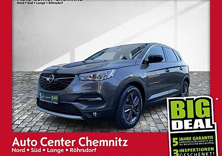 Opel Grandland X 1.2 2020 LED/Ergo/Teilleder/Kamera