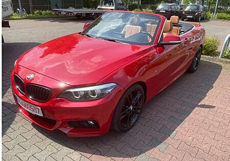 BMW 220 i Cabrio M Sport aut. Navi Prof. Kamera PDC