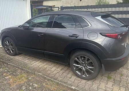 Mazda CX-30 SKYACTIV-G 2.0 M-Hybrid 150 AWD Aut. SELECTI