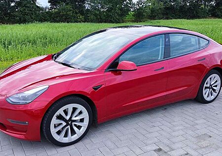 Tesla Model 3 gebraucht kaufen Tesla Model 3 Langstreckenbatt. Allradantrieb Dual Motor