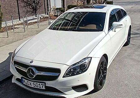 Mercedes-Benz CLS 350 CLS Shooting Brake Diesel Shooting Brake BlueTEC 4Matic 7G-TRONIC