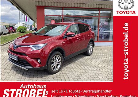 Toyota RAV 4 2.5 4x2 Hybrid Team Deutschland