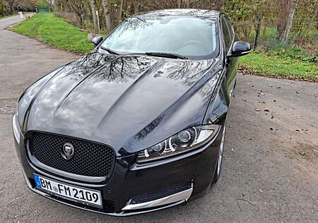 Jaguar XF XF Diesel 2.2 Diesel