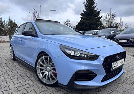 Hyundai i30 N Performance/Panoramadach