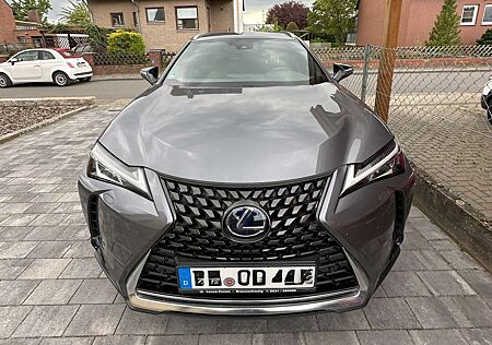 Lexus UX 250h Style Edition 8-fach Bereift(5-6mm)
