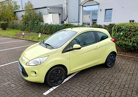 Ford Ka /+ Trend,ZV,Tüv neu,2.Hand ,Top !!