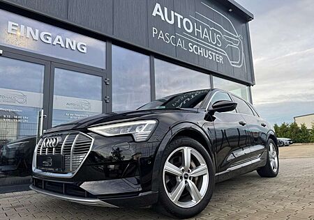 Audi e-tron 50 quattro/LUFT/AHK/KAMERA/VIRTUAL