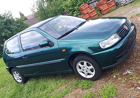 VW Polo Volkswagen
