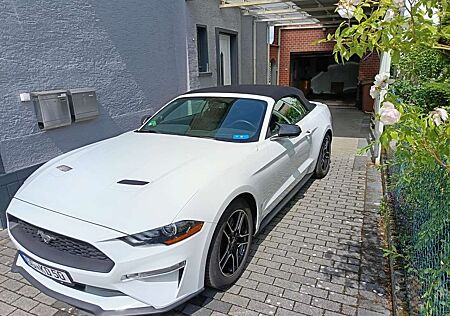 Ford Mustang Cabrio 2.3 Eco Boost
