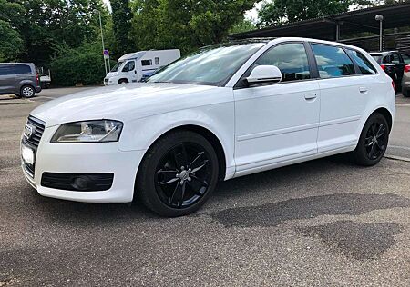 Audi A3 1.6 TDI Sportback DPF Ambition