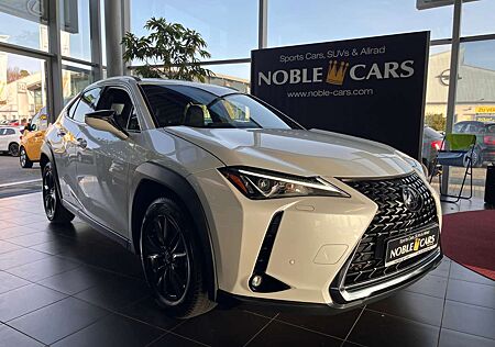 Lexus Others 250 h Launch Edition LED NAV SHZ RFK