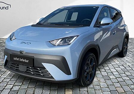 BYD Boost Keyless Navi Kamera