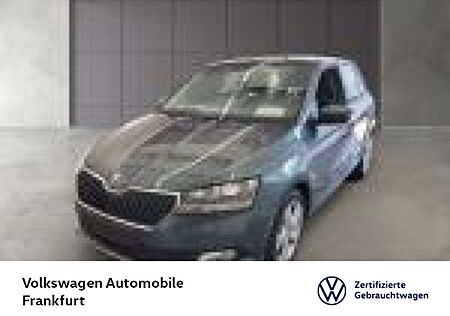 Skoda Fabia 1.0 TSI Cool & Sound 16"Alu DAB