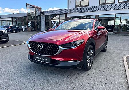 Mazda CX-30 SKYACTIV-X Selection,Design&Premium-Paket,Garantie
