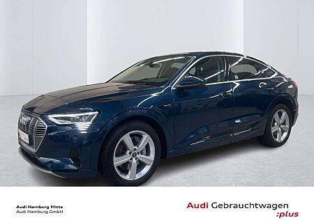 Audi e-tron 55 quattro advanced Pano Matrix