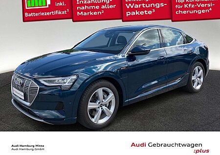 Audi e-tron 55 quattro advanced Pano Matrix