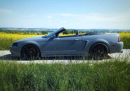 Ford Mustang 4.6 V8 Cabrio 5-Gang Schalter