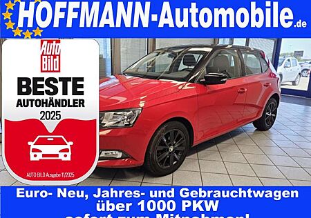 Skoda Fabia Monte Carlo Klima,PDC,Alufelgen