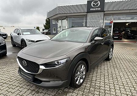 Mazda CX-30 L SKYACTIV-G 2.0 150PS M Hybrid 6GS AL-SELECTION A