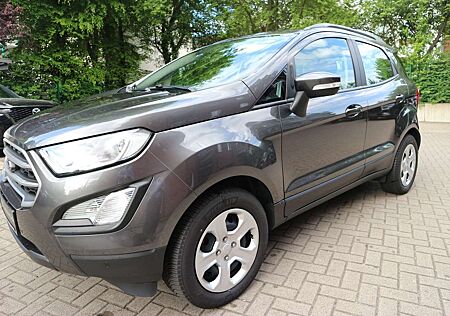 Ford EcoSport 125 Cool & Connect Winter-Paket PDC