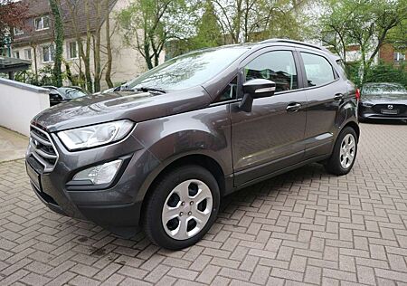 Ford EcoSport 125 Cool & Connect Winter-Paket PDC