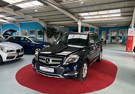 Mercedes-Benz GLK 220 CDI 4Matic AHK NAVI PDC vo&hi