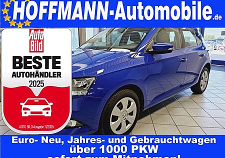 Skoda Fabia 1.Hand,Allwetterreifen,PDC,Klima