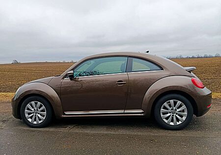VW Beetle Volkswagen