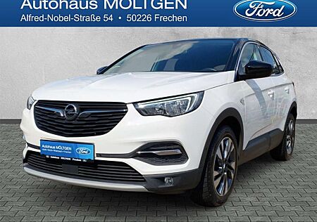 Opel Grandland Design Line 1.2 Turbo EU6d-T *Navi*RFK*PDC*SHZ*LRH