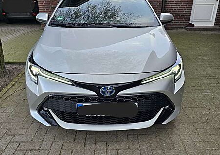 Toyota Corolla Hybrid Team D