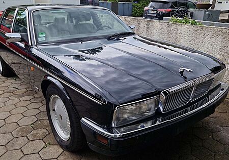 Jaguar Daimler Double Six