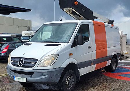 Mercedes-Benz Sprinter 511/515 CDI 4X4 (906.653/655/657)