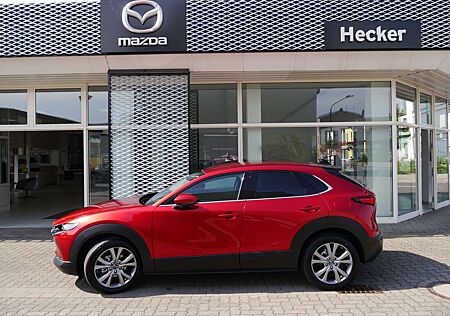 Mazda CX-30 SKYACTIV-G 2.0 M-Hybrid SELECTION GUTER ZUSTAND